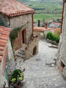 Eus - Paved street lined with houses