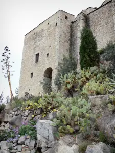 Eus - Saint-Vincent-d'En-Haut church and cactus