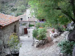 Eus - Flowers in the village