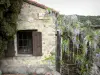 Eus - Stone house and its wisteria