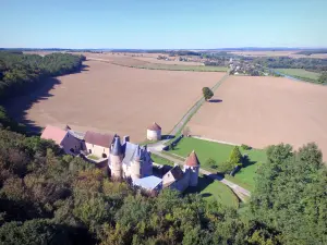 Faulin castle - Aerial view of medieval castle buildings surrounded by trees and fields