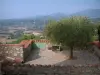 Fayence - Terrasse agrémentée d'un olivier (arbre) avec vue sur les collines