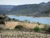 Fenouillèdes - Plan d'eau du barrage de l'Agly (barrage de Caramany), champs de vignes et collines