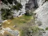 Fenouillèdes - Gorges de Galamus : fleuve Agly entouré de parois rocheuses