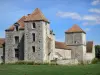 Fief des Epoisses - Ancienne ferme médiévale fortifiée, pigeonnier, douves et pelouse ; sur la commune de Bombon