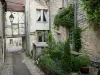 Flavigny-sur-Ozerain - Guía turismo, vacaciones y fines de semana en Côte-d'Or