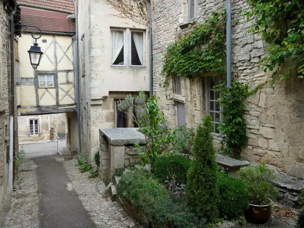 Flavigny-sur-Ozerain - Gasse umgeben von alten Häusern