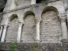 Flavigny-sur-Ozerain - Overblijfselen van de abdij van Saint-Pierre