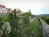 Flavigny-sur-Ozerain - Wallen lopen