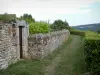 Flavigny-sur-Ozerain - Passeggiata dei bastioni
