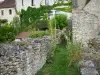 Flavigny-sur-Ozerain - Bloemen en oude stenen