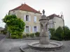 Flavigny-sur-Ozerain - Fontaine Abel Labourey et maisons du village