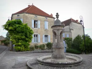 Flavigny-sur-Ozerain - Brunnen Abel Labourey und Häuser des Dorfes