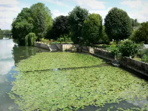 A flecha - Jardins ao longo do rio Loir (vale do Loir)