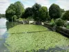 La Flèche - Gardens along River Loire (Loir Valley)