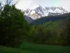 Floresta Boscodon - Prado, árvores da floresta e montanhas cobertas de neve; no Parque Nacional dos Écrins