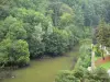 Floresta de Mervent-Vouvant - Árvores da floresta na beira da água