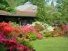 Flower park of Paris - Rhododendrons in bloom