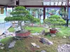 Flower park of Paris - Bonsai pavilion