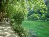 Fontaine-de-Vaucluse - La Sorgue (rivière), arbres et allée (rive) ombragée