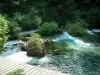 Fontaine-de-Vaucluse - La Sorgue (rivière) avec des rochers et des arbres