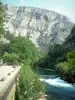 Fontaine-de-Vaucluse - Grande falaise abrupte (paroi rocheuse) dominant la Sorgue (rivière), les arbres et la rive