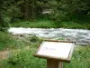 Fonte do Doubs - Local da fonte: painel, vegetação, rio Doubs e árvores; no Val de Mouthe