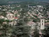 Forcalquier - Blick auf die Stadt: Turm der Kathedrale Notre-Dame-du-Bourguet, Häuser, Wohngebäude und Bäume vorne