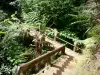 Forêt de Bélouve - Las escaleras y pasarela de madera