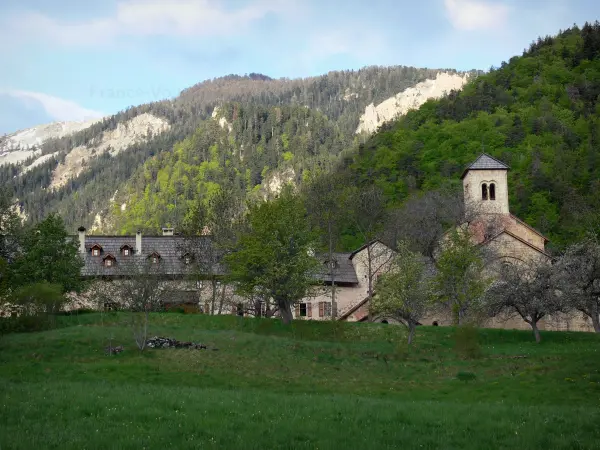 La forêt de Boscodon - Guide tourisme, vacances & week-end dans les Hautes-Alpes