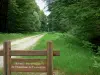 Forêt d'Écouves - Panneau en bois de la route forestière de l'Aumône à Tanville et arbres de la forêt