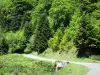 Forêt d'Issaux - Petite route traversant la forêt d'Issaux