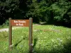 Forêt de Montmorency - Panneau de la route forestière des Fonds, fleurs sauvages et arbres de la forêt