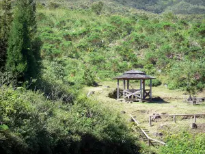 Forêt du Tévelave - Mirador de picnic rodeado de vegetación