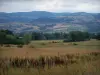 Forez mountains