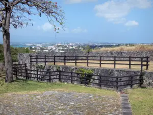 Fort Fleur d'Épée - Fortifications du fort