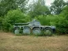 Fort van Giromagny - Militaire tank en bomen op de achtergrond