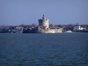 Fort Louvois - Fort Louvois ou fort du Chapus et mer (océan Atlantique)