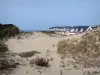 Fort-Mahon-Plage - Dune et résidences