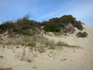 Fort-Mahon-Plage - Düne