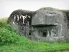 Fort van Villy-La Ferté - Artilleriekazemat