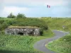 Forte de Villy-La Ferté - Casamata de artilharia, bandeira francesa e estrada forrada com vegetação