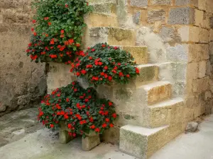 Fourcesの - 赤い花で飾られた小さな階段