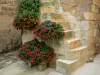 Fourcès - Petit escalier décoré de fleurs rouges