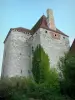 Fourchaud castle - Keep of the medieval fortress; in the town of Besson