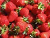 La fraise de Carpentras - Guide gastronomie, vacances & week-end dans le Vaucluse