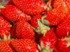 La fraise de Nîmes - Guide gastronomie, vacances & week-end dans le Gard