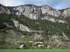 Freissinières valley - Houses, prairie, trees, rock faces and mountain; in the Écrins National Nature Park