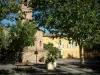 Fréjus - Cathédrale (groupe épiscopal), hôtel de ville (mairie), arbustes en pots et arbres de la place Formigé