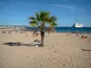 Fréjus - Fréjus-Plage: praia de areia com visitantes de verão e uma palmeira, mar Mediterrâneo e navio de cruzeiro